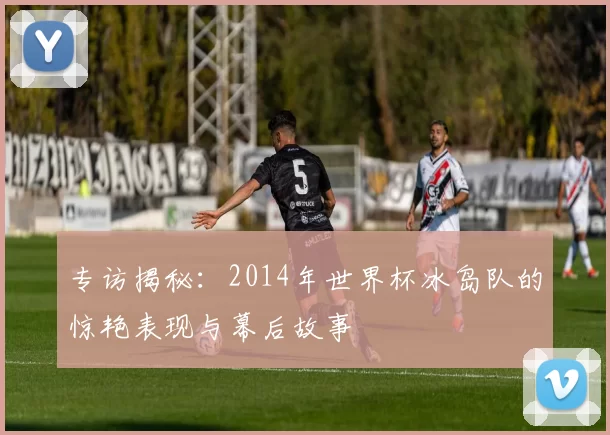 专访揭秘：2014年世界杯冰岛队的惊艳表现与幕后故事