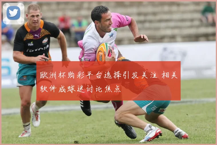 欧洲杯购彩平台选择引发关注 相关软件成球迷讨论焦点