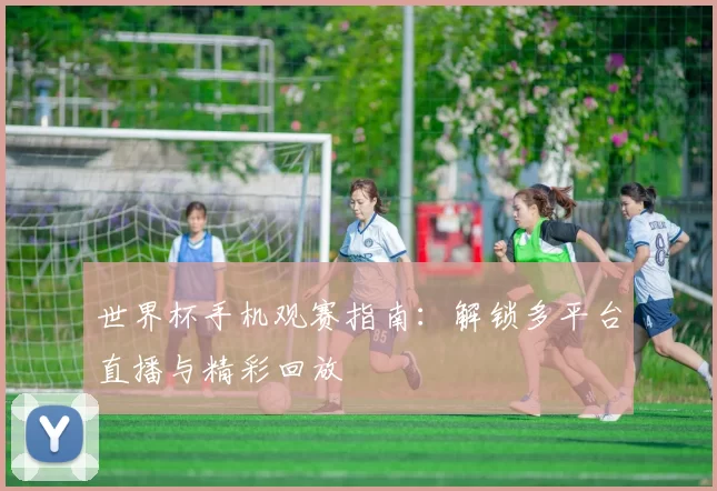 世界杯手机观赛指南:解锁多平台直播与精彩回放