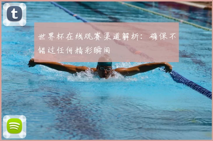 世界杯在线观赛渠道解析:确保不错过任何精彩瞬间