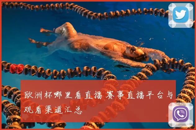 欧洲杯哪里看直播 赛事直播平台与观看渠道汇总