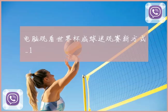 电脑观看世界杯成球迷观赛新方式 _1