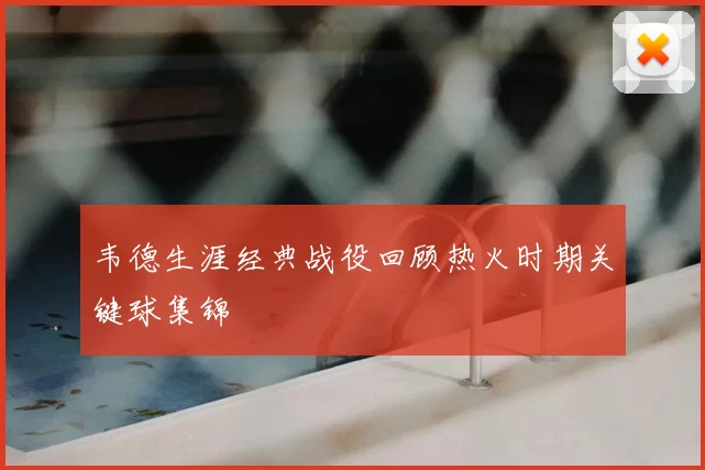 韦德生涯经典战役回顾热火时期关键球集锦