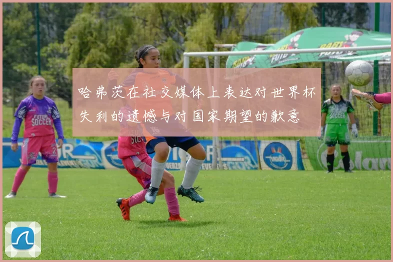 哈弗茨在社交媒体上表达对世界杯失利的遗憾与对国家期望的歉意