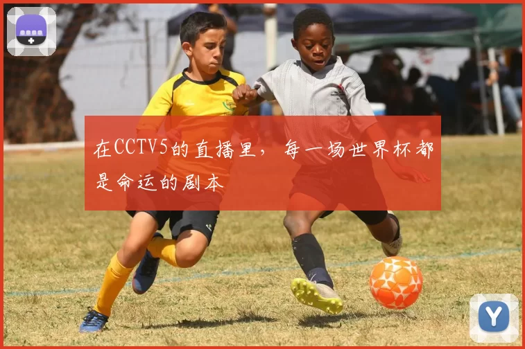 在CCTV5的直播里,每一场世界杯都是命运的剧本