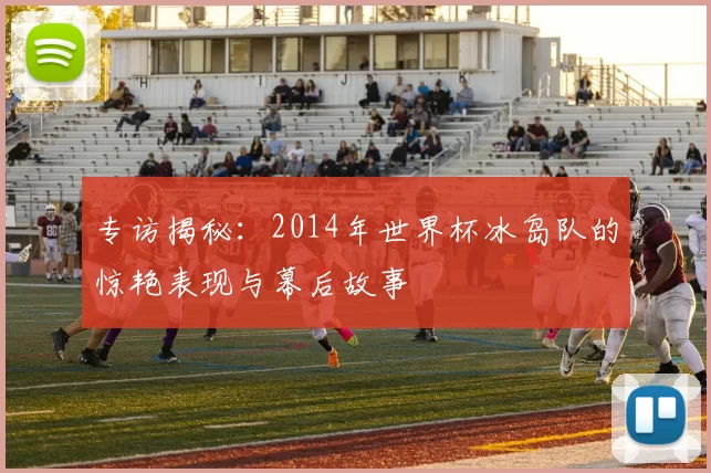专访揭秘：2014年世界杯冰岛队的惊艳表现与幕后故事