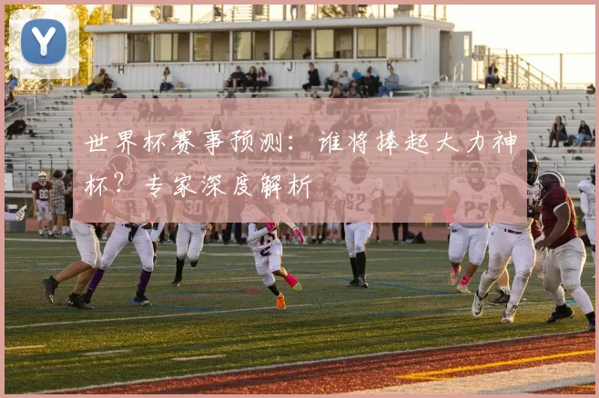 世界杯赛事预测：谁将捧起大力神杯？专家深度解析