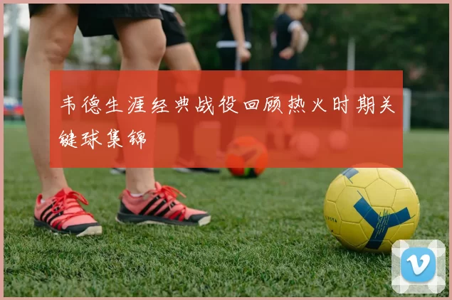 韦德生涯经典战役回顾热火时期关键球集锦