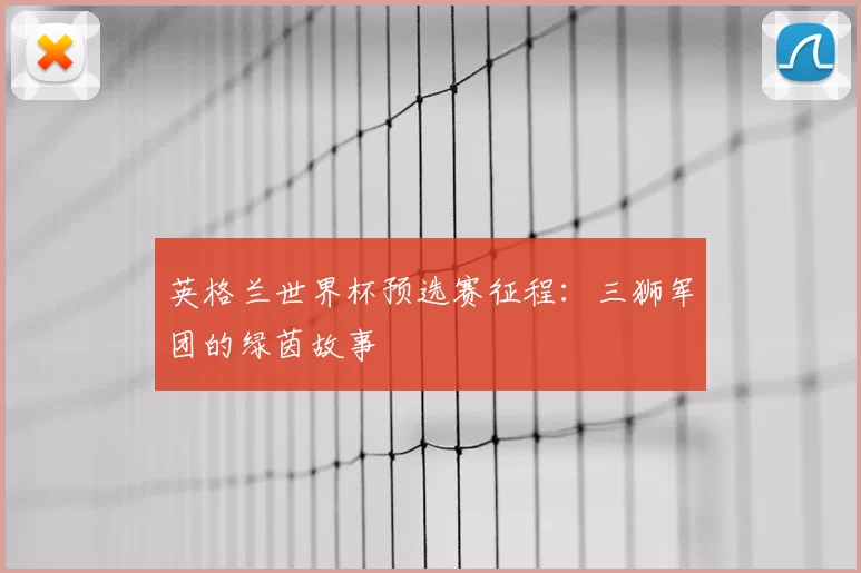 英格兰世界杯预选赛征程:三狮军团的绿茵故事