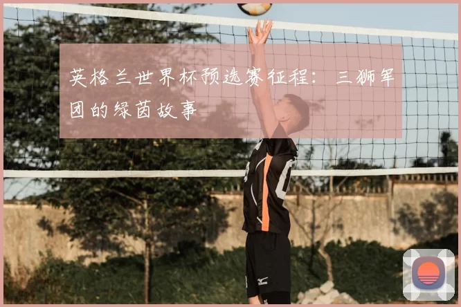 英格兰世界杯预选赛征程:三狮军团的绿茵故事
