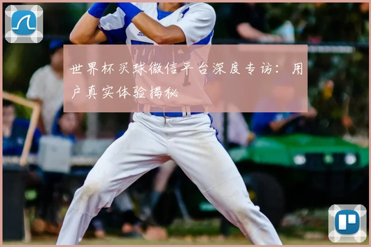 世界杯买球微信平台深度专访：用户真实体验揭秘